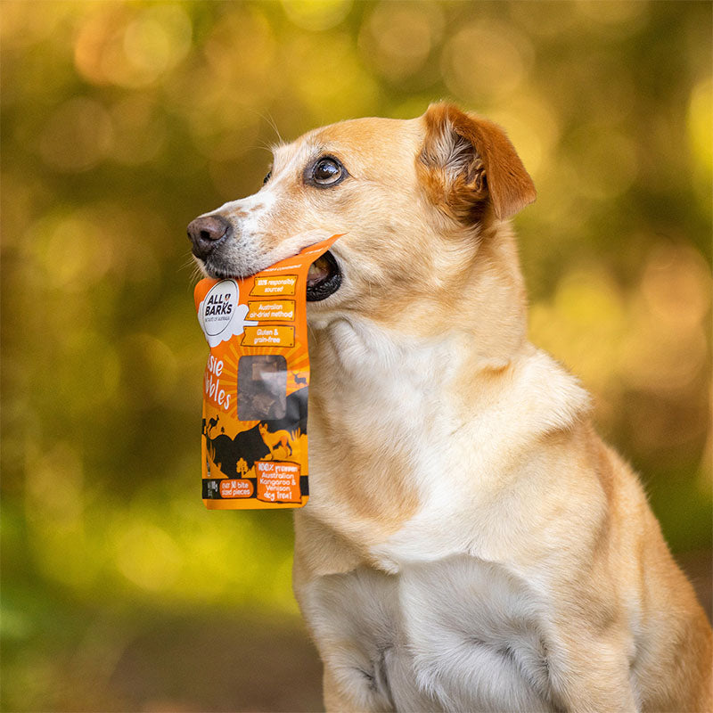 Dog eating All Barks best natural puppy treats the Aussie Nibbles