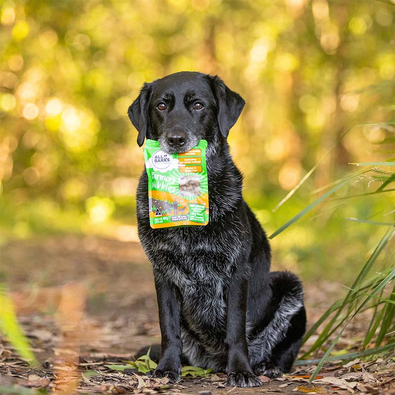 dog holding All Barks chicken treats for dogs the Farmer's Nibbles