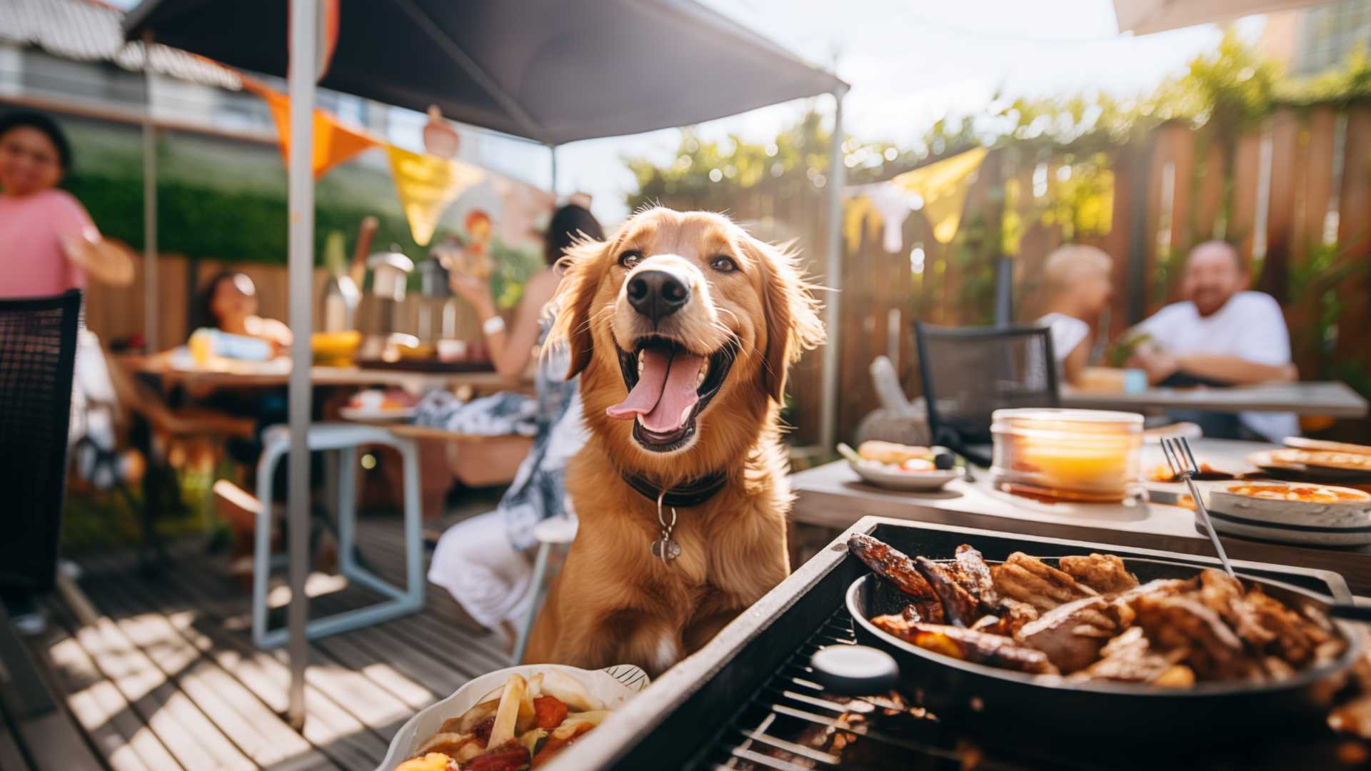 Aussie bbq hotsell